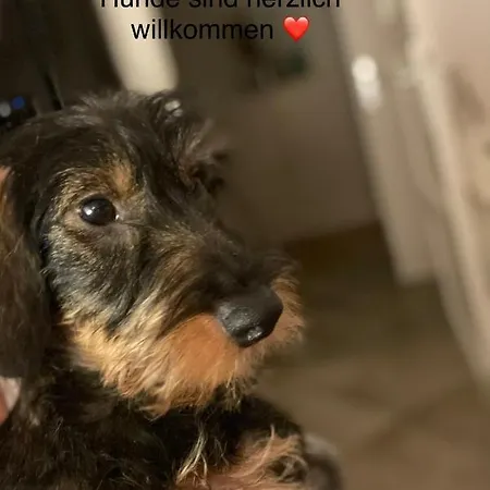 Schickes Sylt In Mit Garten Nahe *